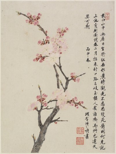 Album mit zehn Blättern, 1656 von Shengmo Xiang